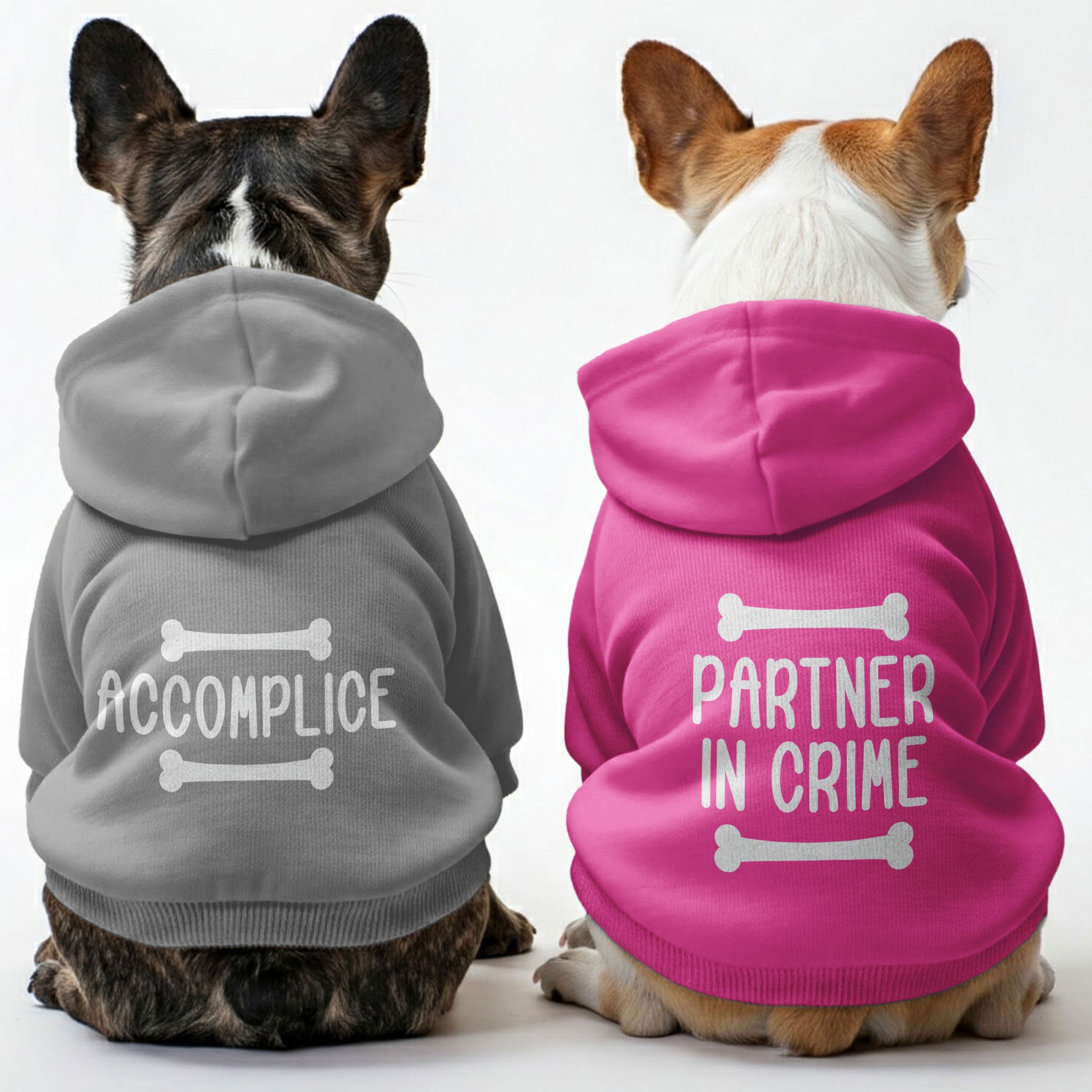 French Bulldog Partner In Crime And Accomplice Matching French Bulldog