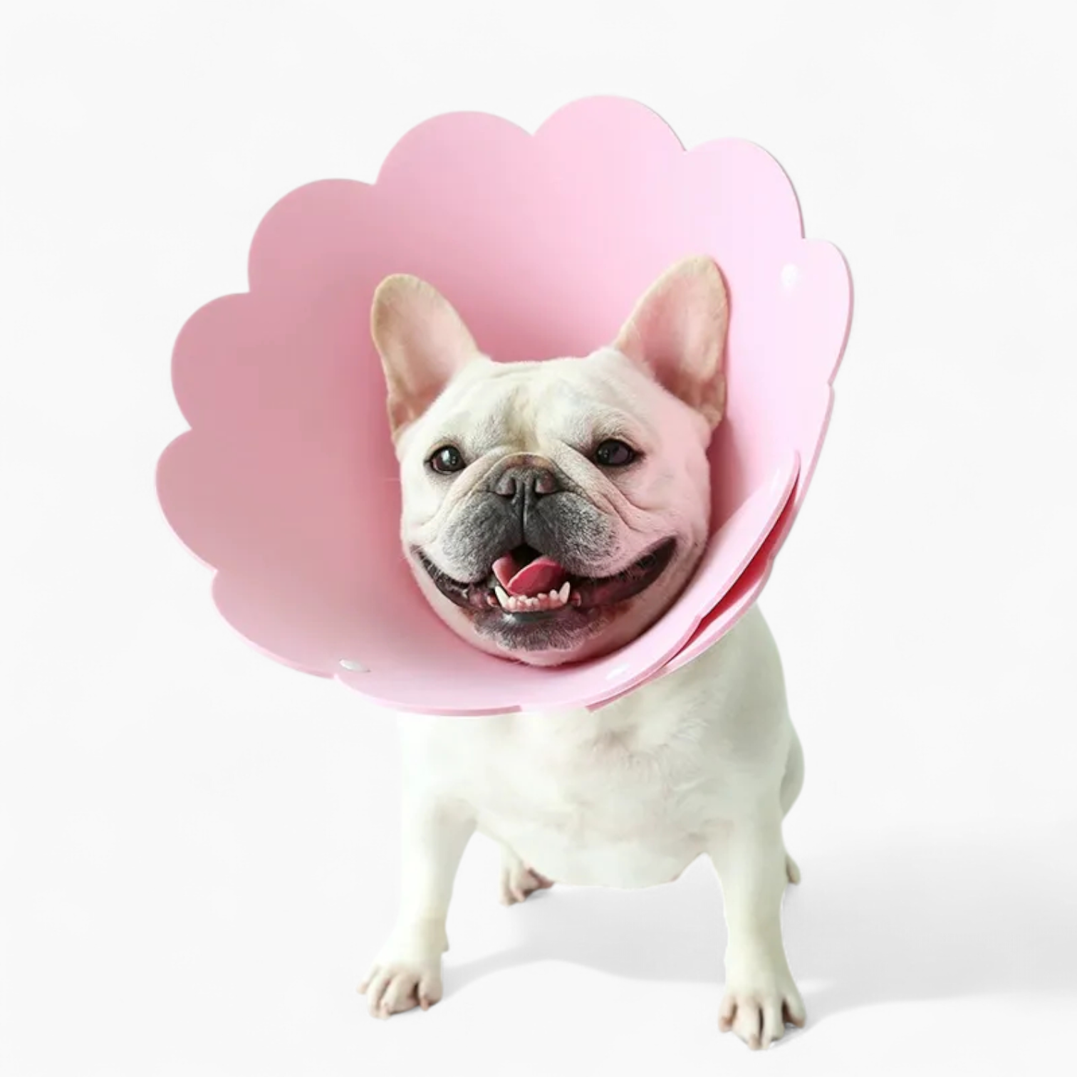 French Bulldog Blossy Frenchie Sunflower Collar – Soft Anti Lick Anti
