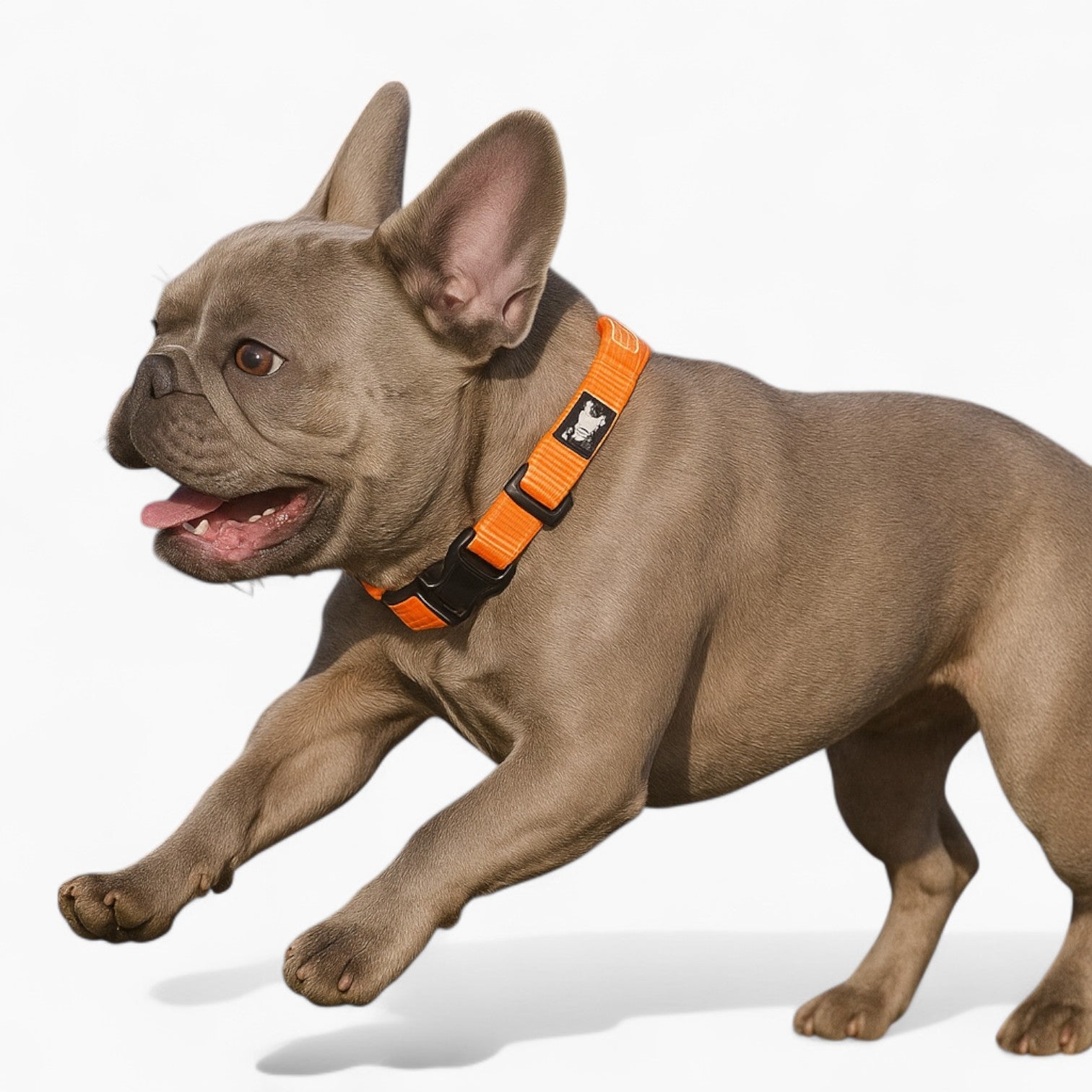 French Bulldog专属 Luxeen Frenchie 3m Reflective Collar – Adjustable Pa...