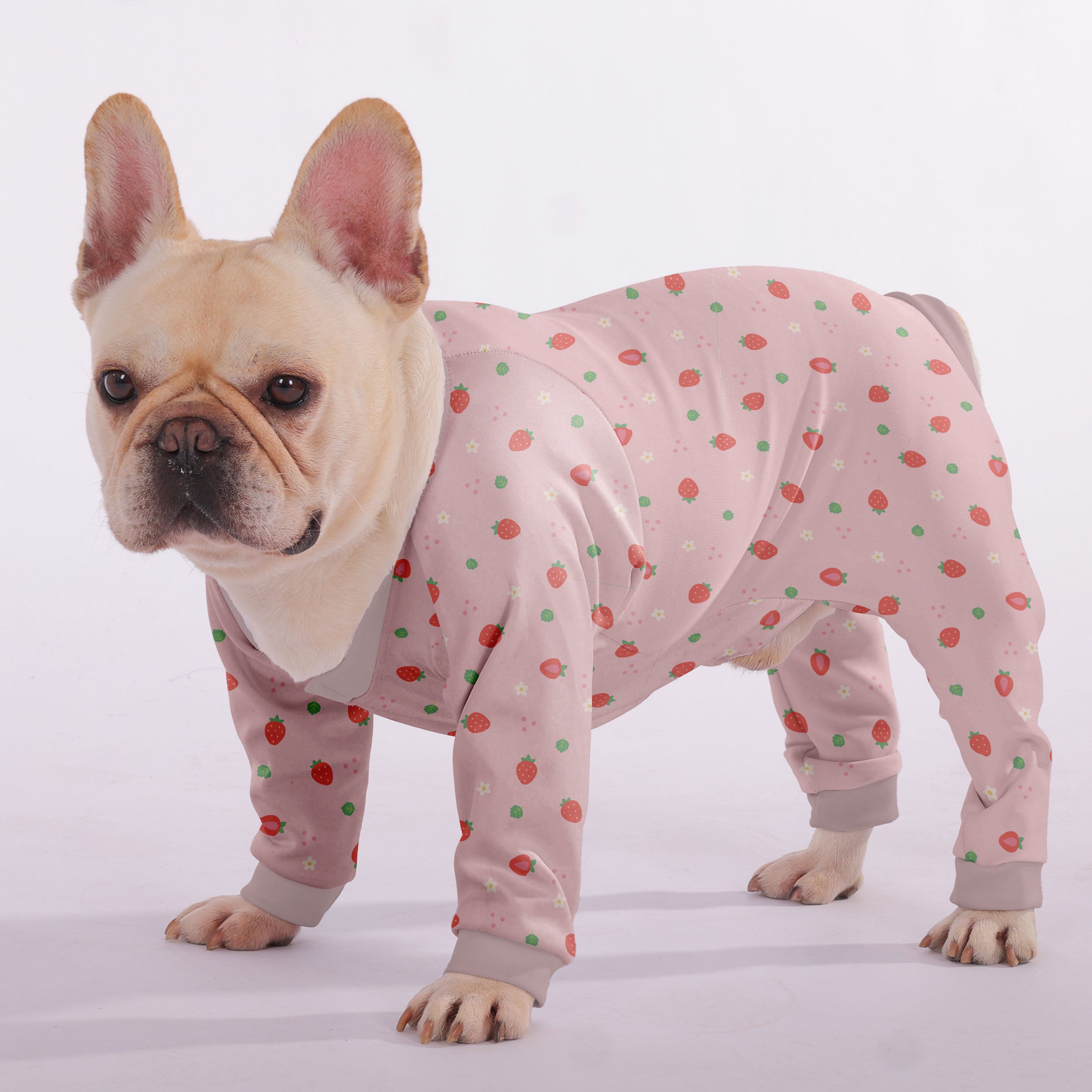 Pet-Lover Premium Bella - Frenchie Pajama for Fashion Lovers
