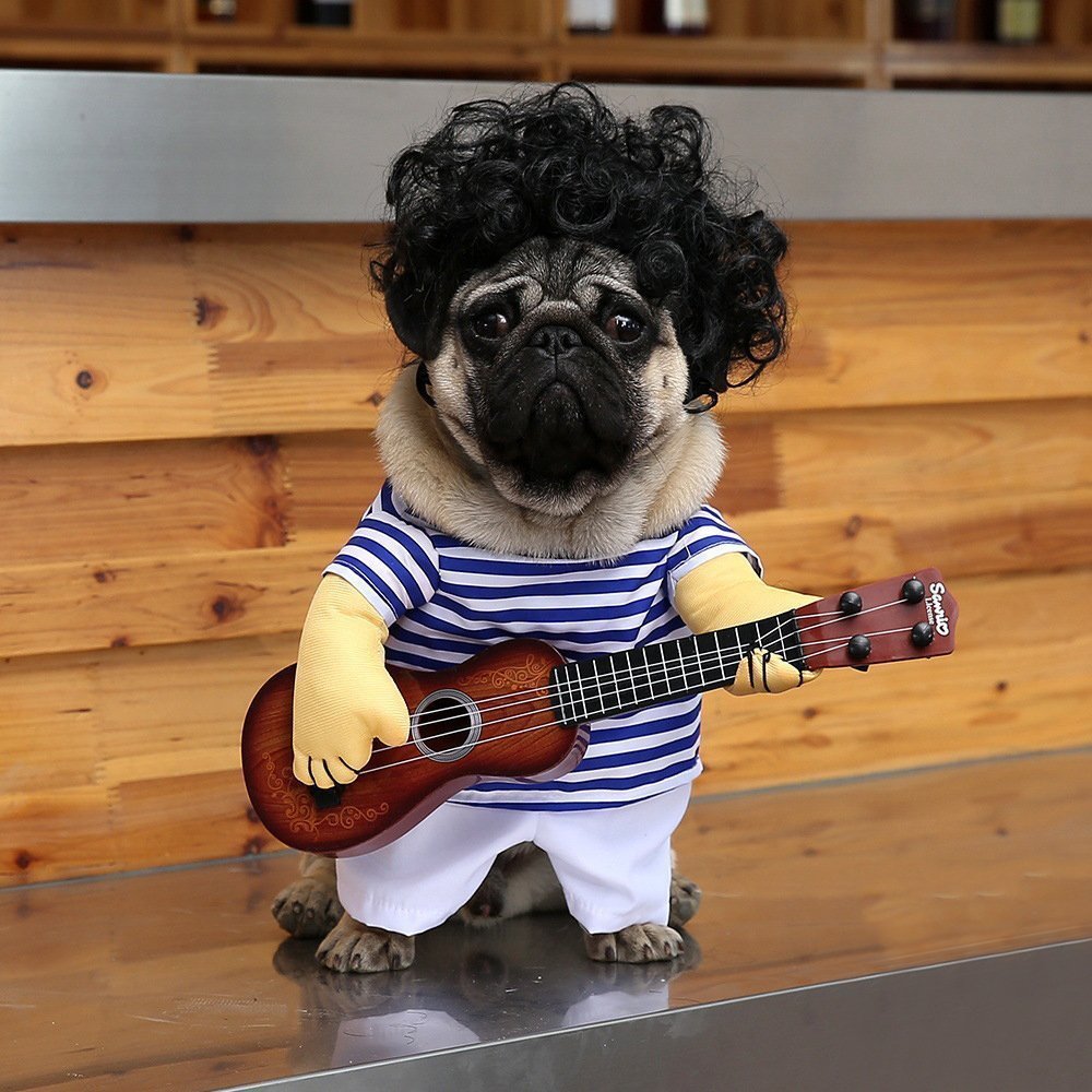 Street-Ready The Guitarist - Halloween Costume for Pet Enthusiasts