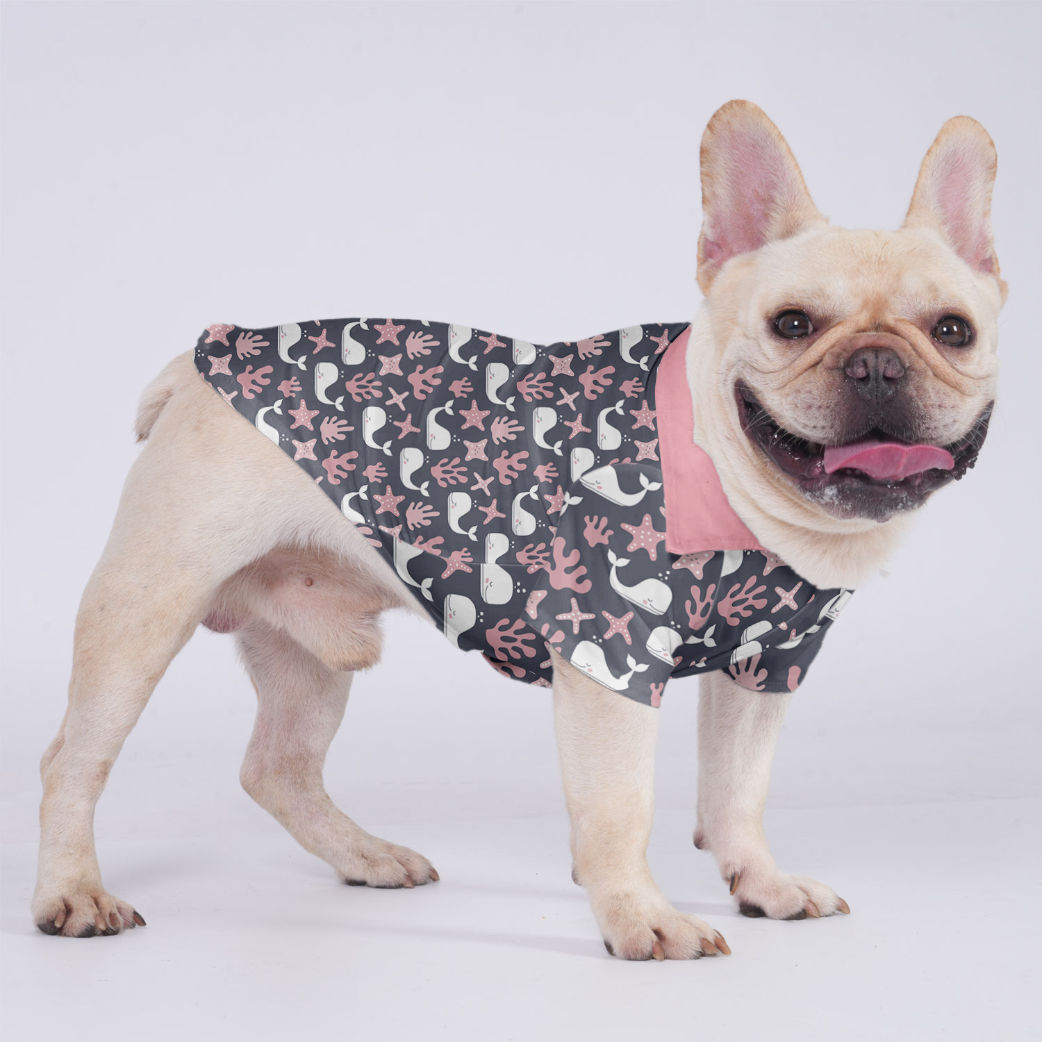 French Bulldog Benji Hawaiian Shirt For Frenchies Practical Pet Supply