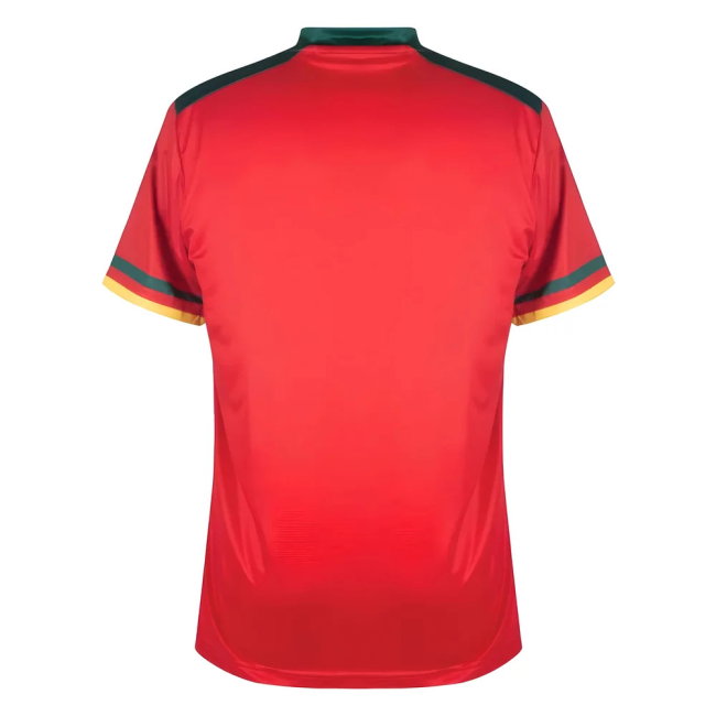 Cameroon Third Shirt 2022-2023 edition