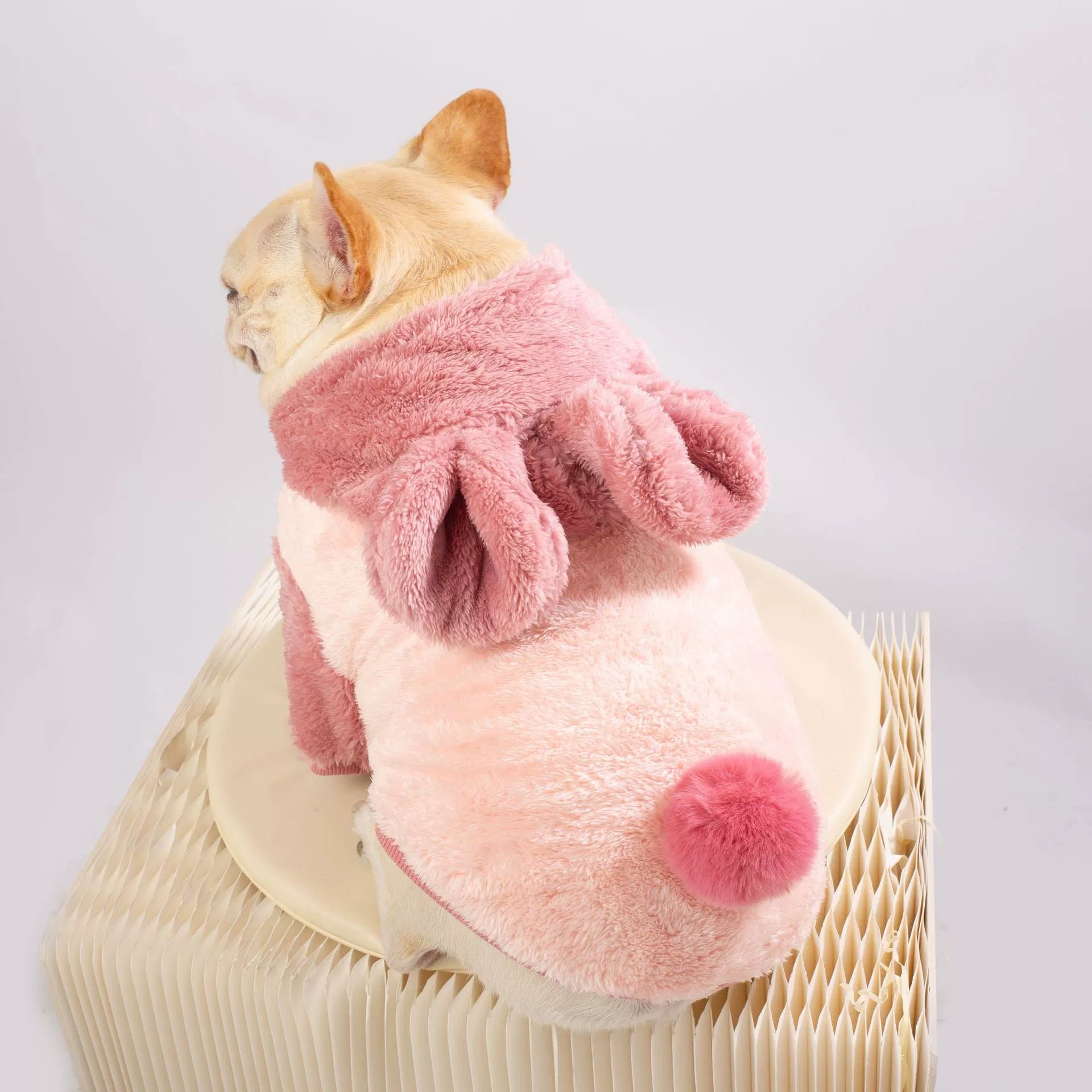 High-Quality Frenchie Warm Pet Sweater – Plush Thick Coat For Small B...