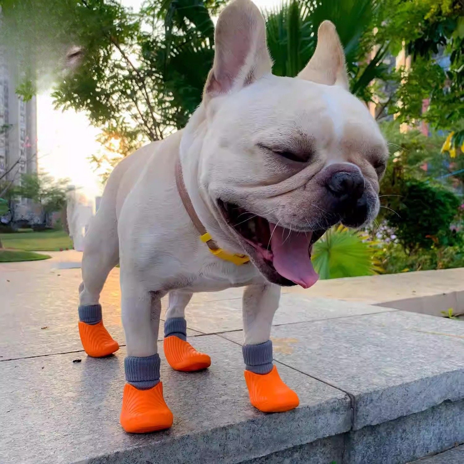 Boots – High-elastic Non-slip And Durable Design For French Bulldogs