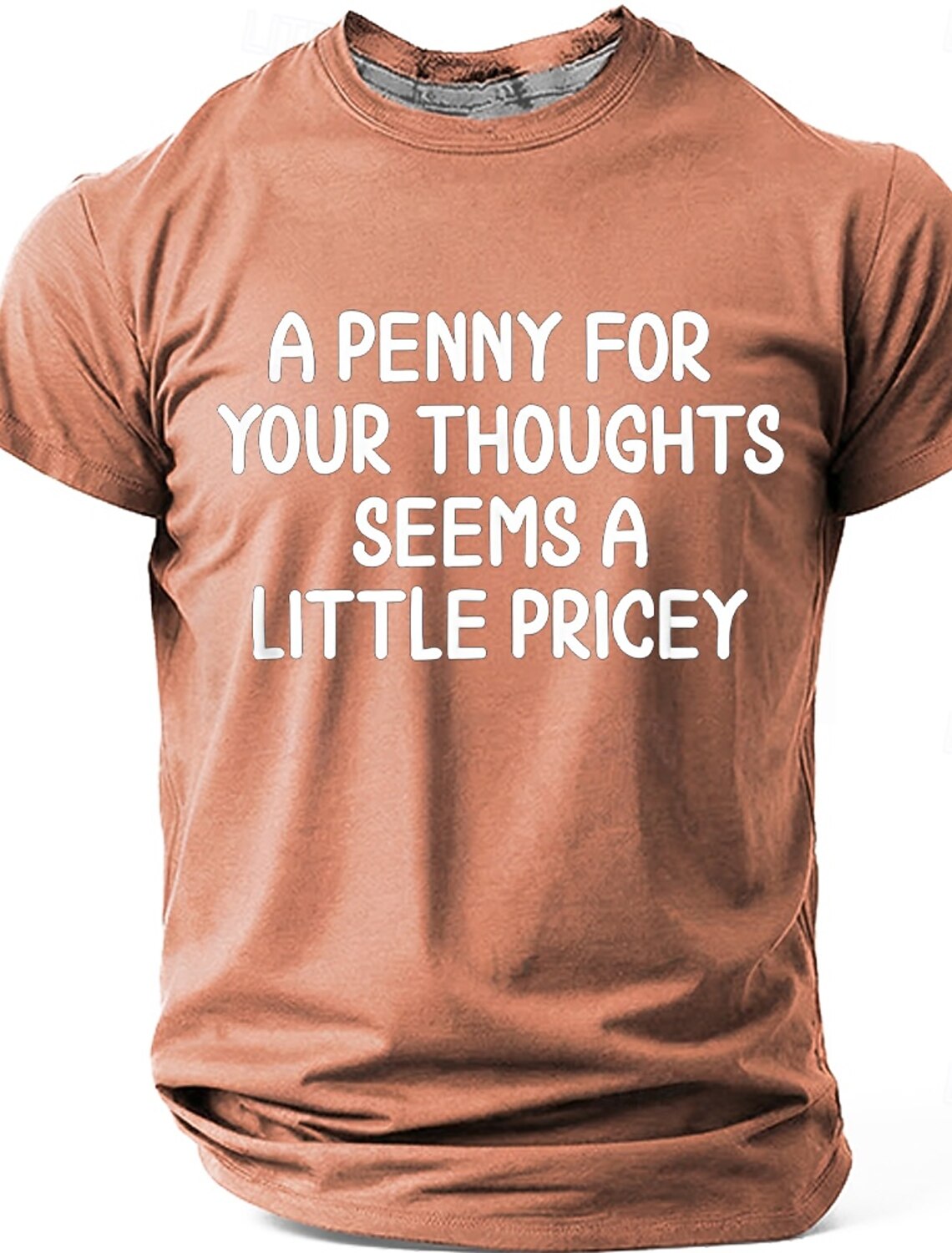 Men's A Penny For Your Thoughts Seems Little Pricey Funny Sarcastic