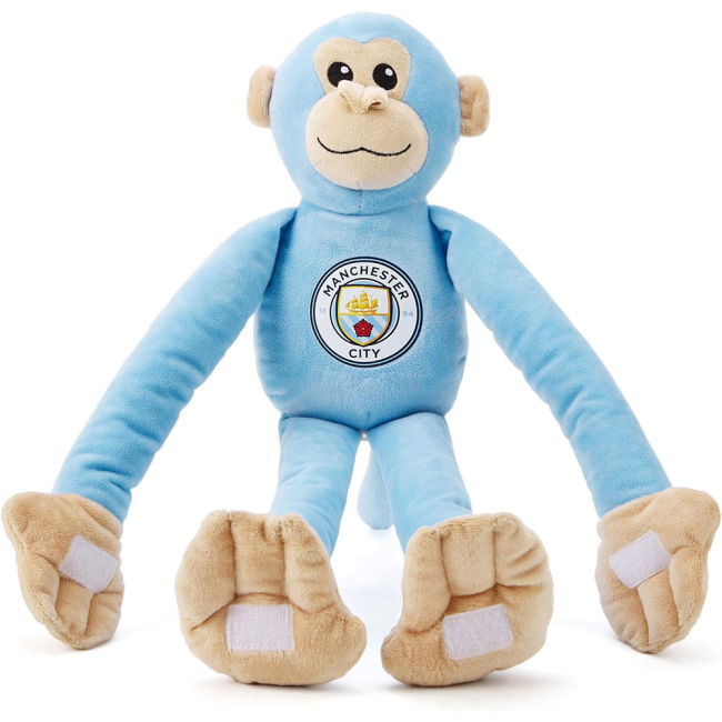 Genuine 2025-2026 Manchester City English Football Home Shirt (1)