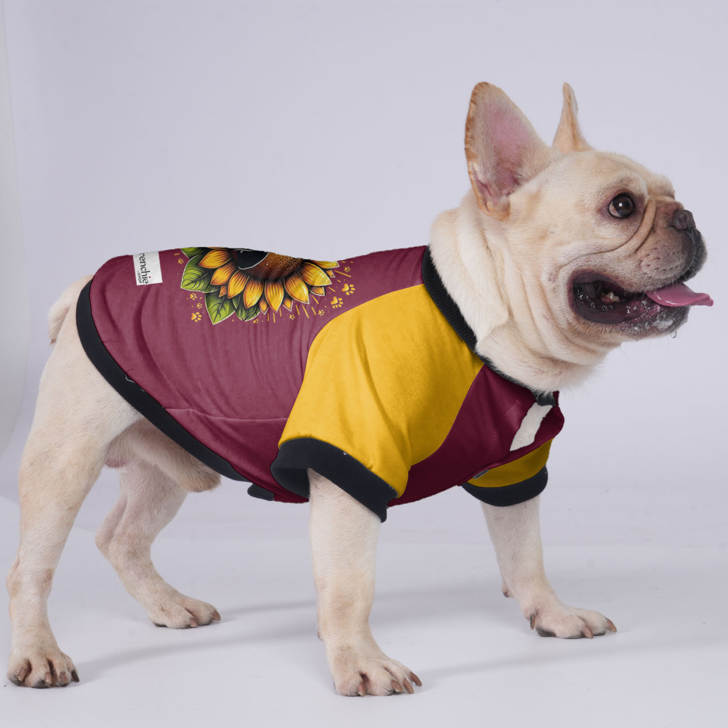 - Bulldog Jacket For French Bulldog For French Bulldogs | Safe For Paws