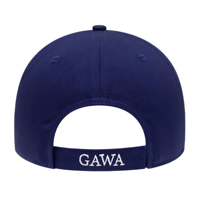 Northern Ireland Essential Blue 9Forty Cap Oranje Netherlands