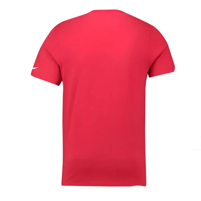 Kids Match Worn Style Portugal Home Professional Jersey 2018-2019