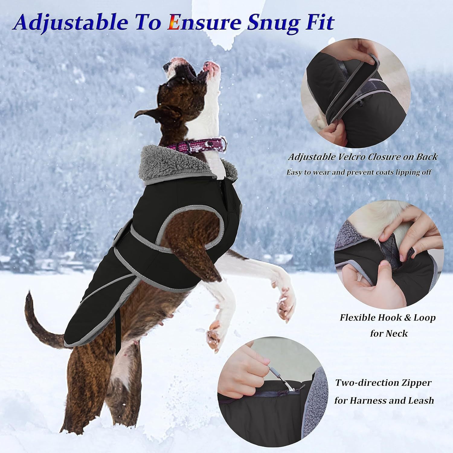 French Bulldog Cotton Jacket – Winter Waterproof Dog Outfit