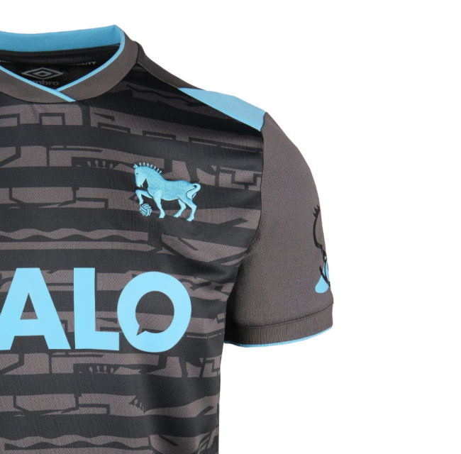 2025-2026 Ipswich Town Third Kit (Womens)