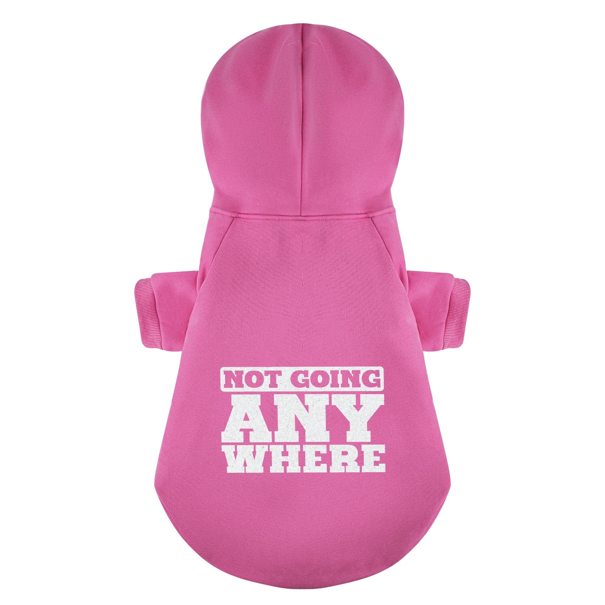 French Bulldog Wanted A New Brother And Not Going Anywhere Matching