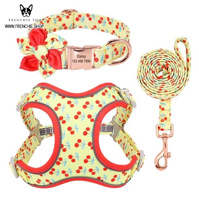 Fruit - Premium Harness For French Bulldog (w321) Paw Protection