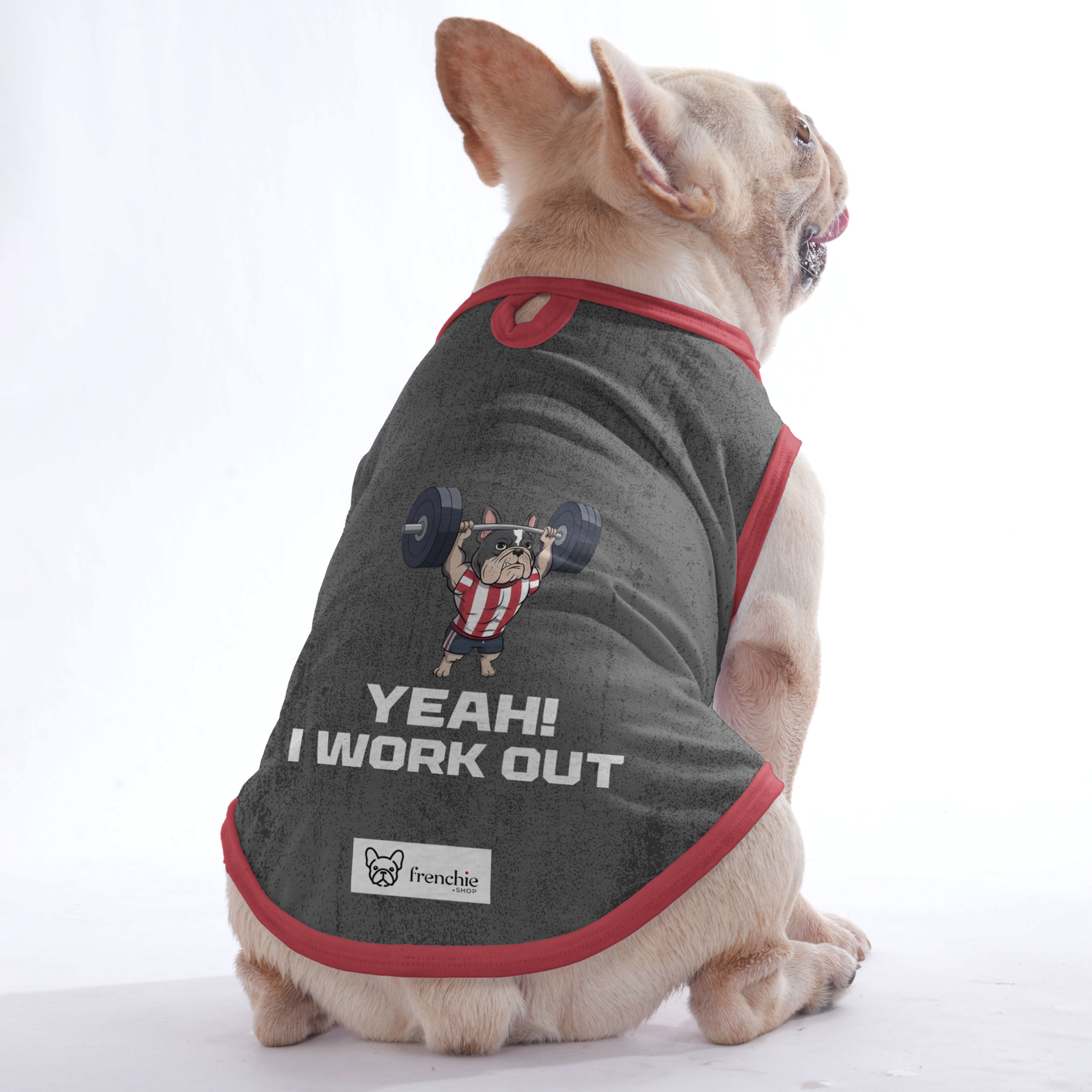 Stylish Jacqueline - Shirt For Frenchies - Frenchie Shop Original as a