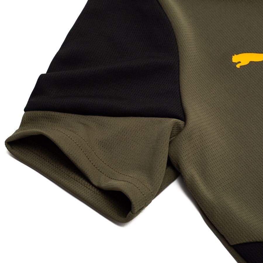 Dortmund Training T Shirt Loden Green/puma Jet Black Kids