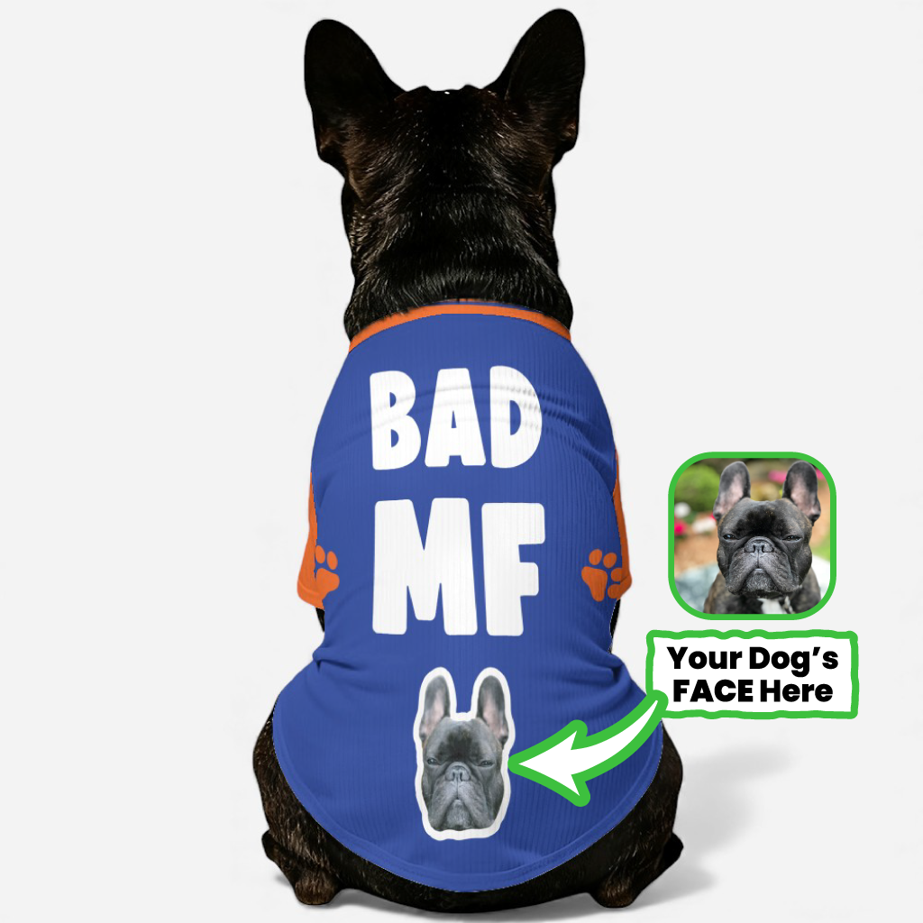 Personalized Wool Sweater For Frenchies Indoor Comfort | Premium Quality