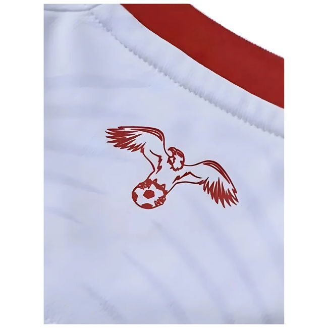 Player Issue Style Jordan Home Pro Level Shirt 2024-2025