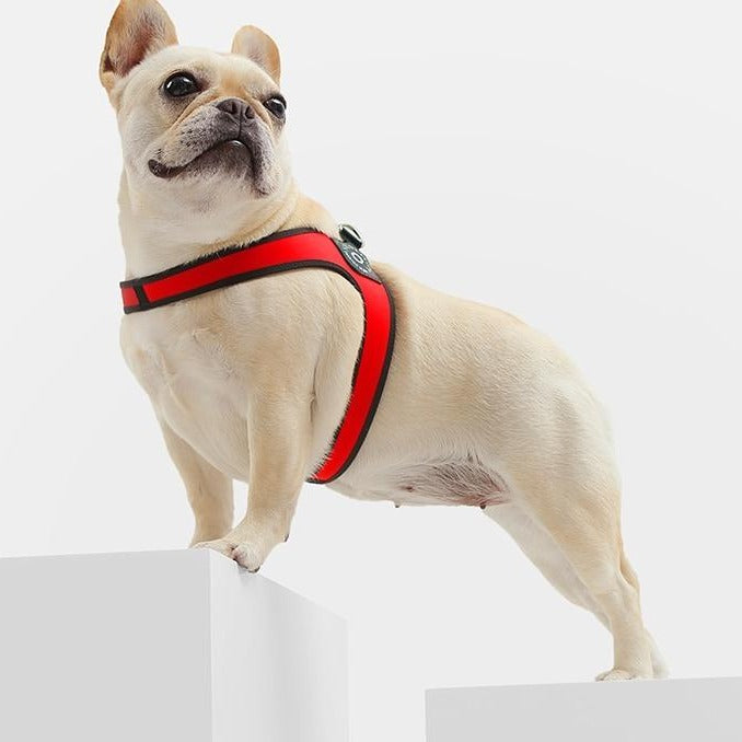 Weather-Resistant Easy-walk™ - No Pull French Bulldog Harness (ws601)...