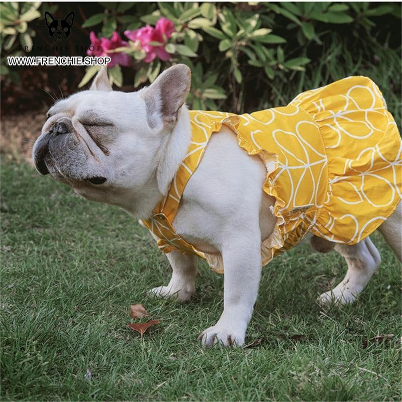Pet-Lover Party Skirt French Bulldog Summer Dress (w315) for Street