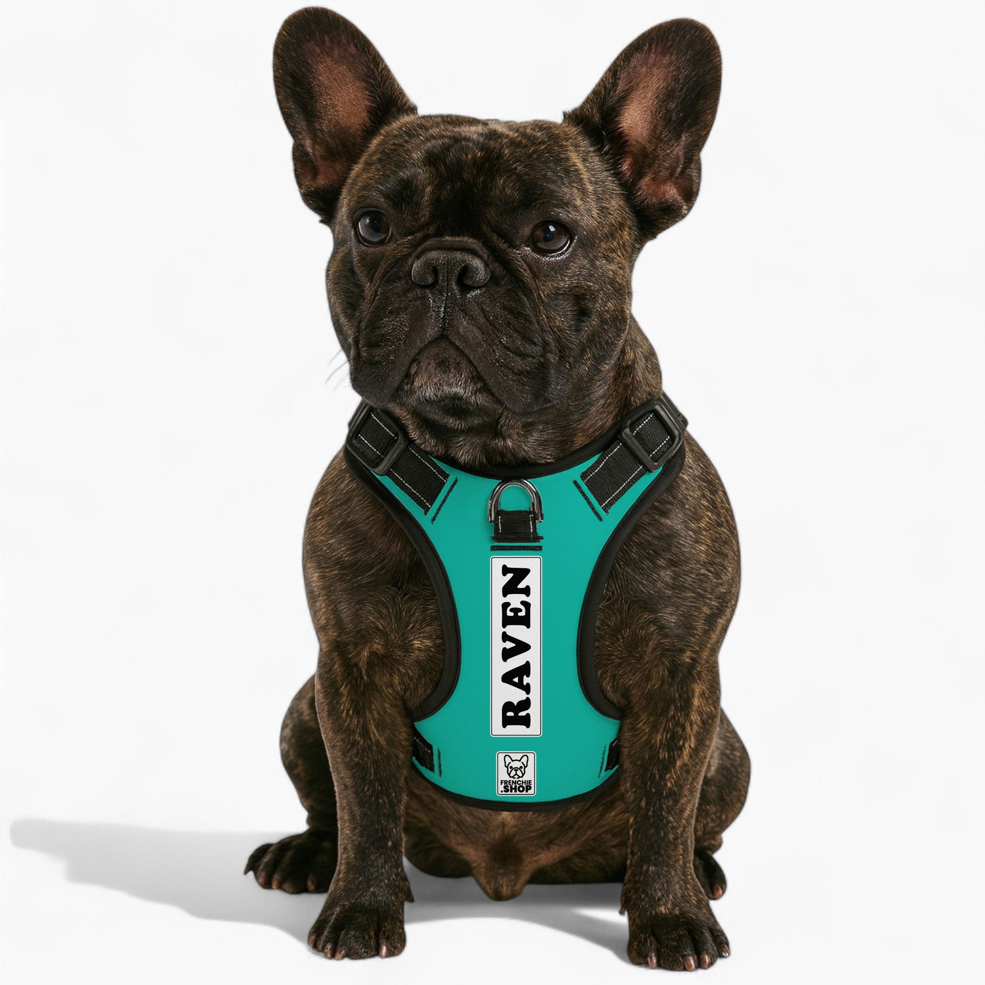 French Bulldog Raven Personalized No Pull French Bulldog Dog Harness Practical Dog Gear