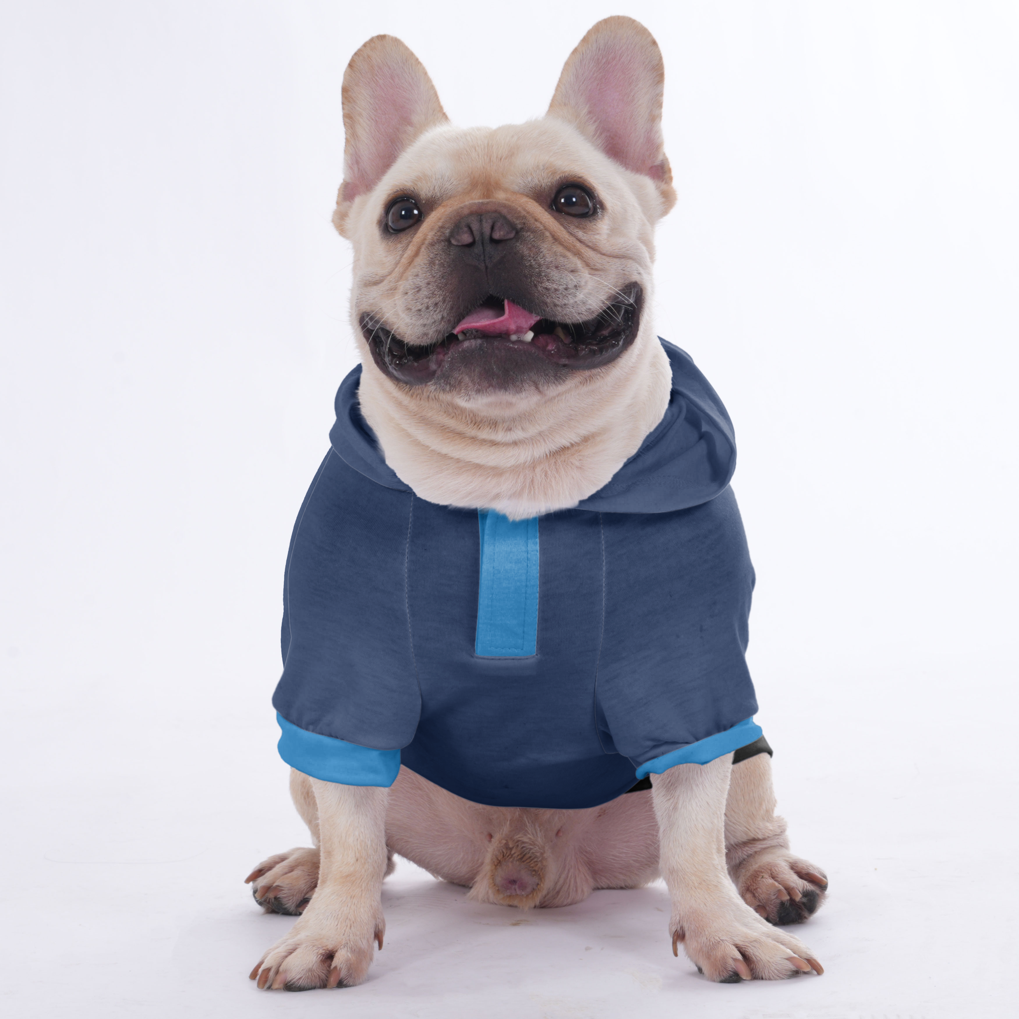 Your Pet’s Name & Number | Frenchie Shop Original Frenchie Themed Wear