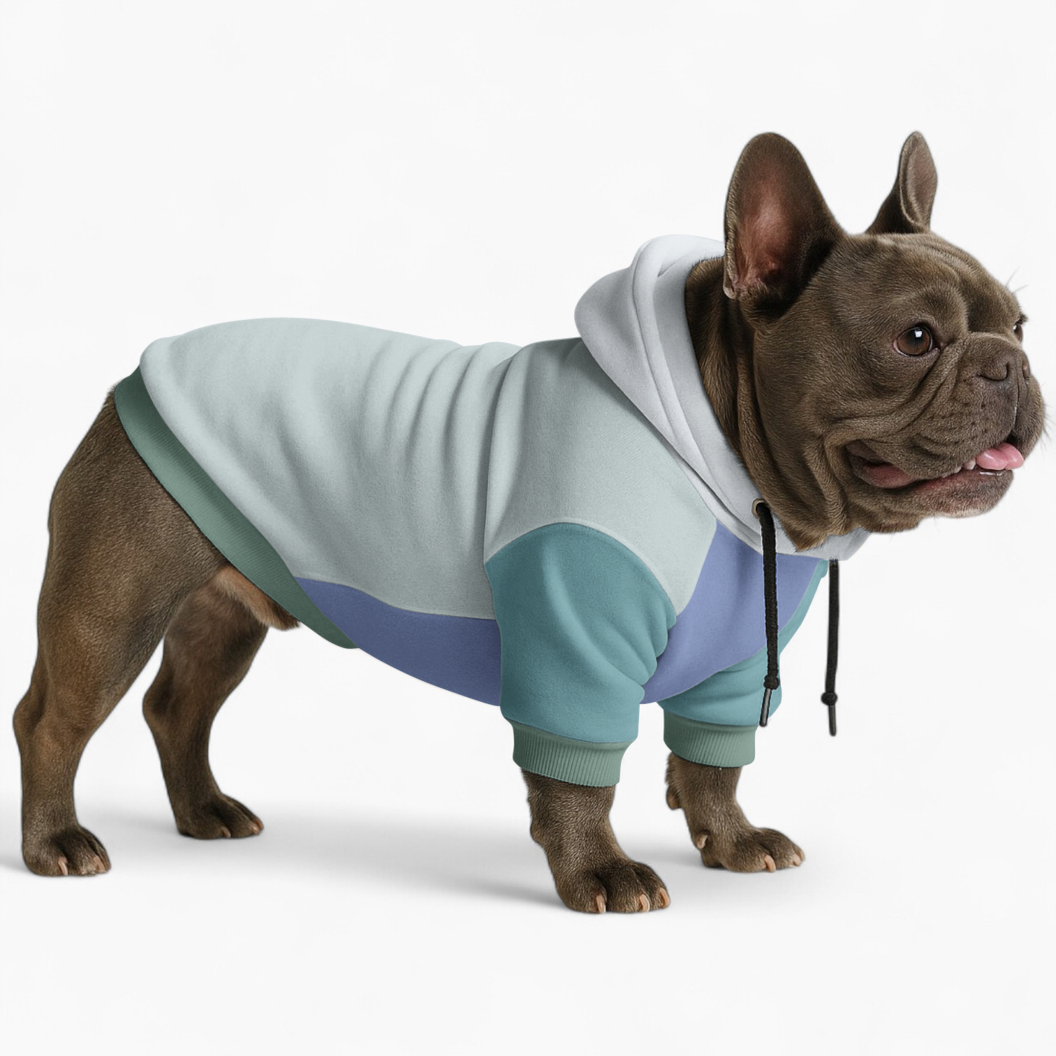 Durable Street-Ready Ross - Frenchie Hoodie for French Bulldog Lovers