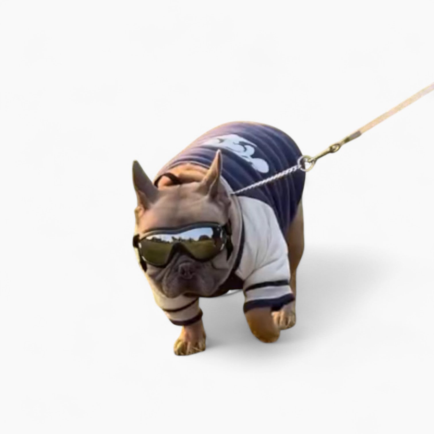 Premium Pawvue French Bulldog Goggles – Windproof Uv Protection Dog S...