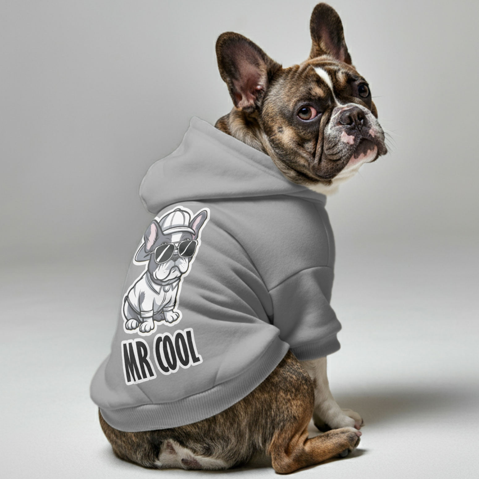 Premium Mr Cool - Personalized French Bulldog Hoodies With Funny Quot...
