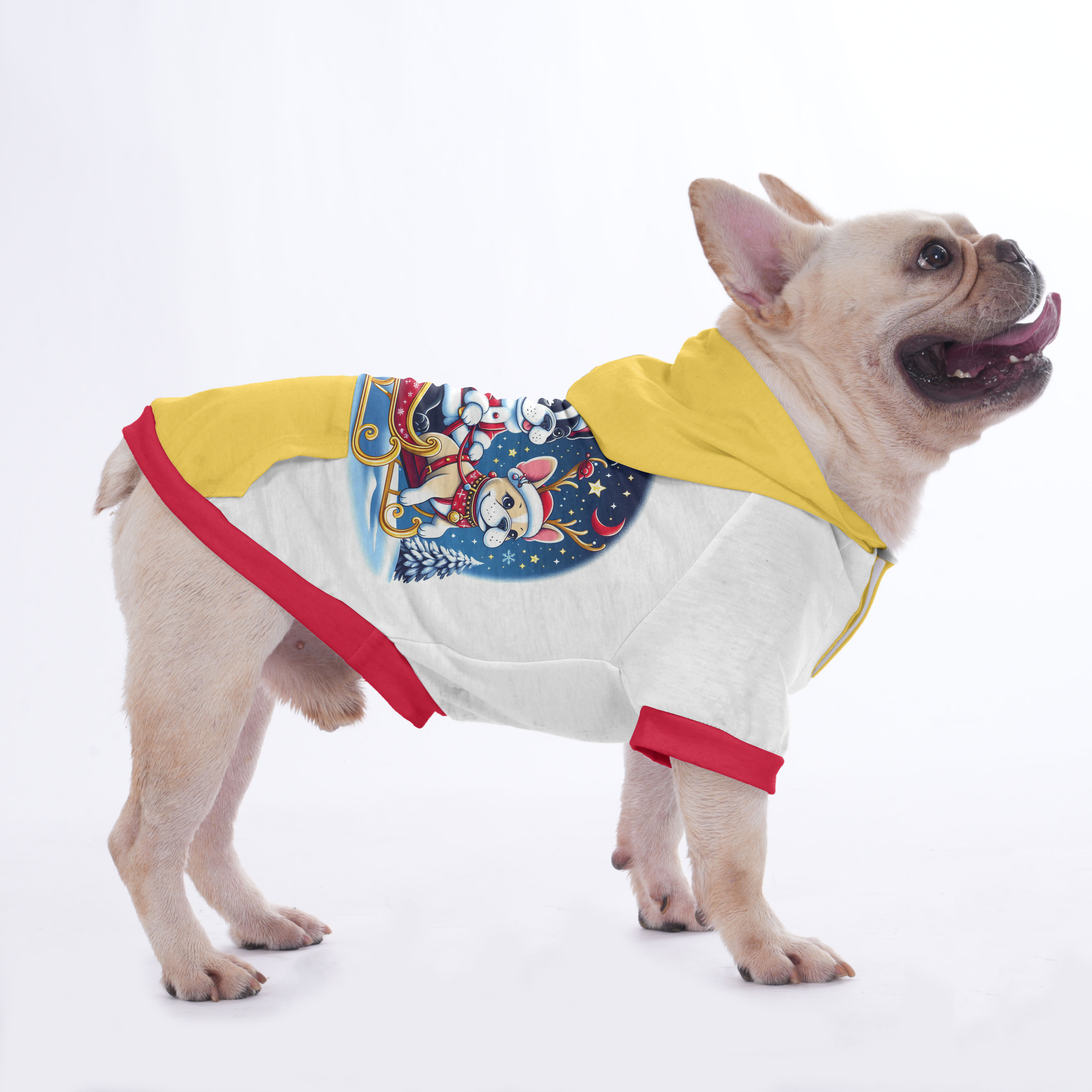 Penny - Hoodies for French Bulldog | Frenchie Shop Original