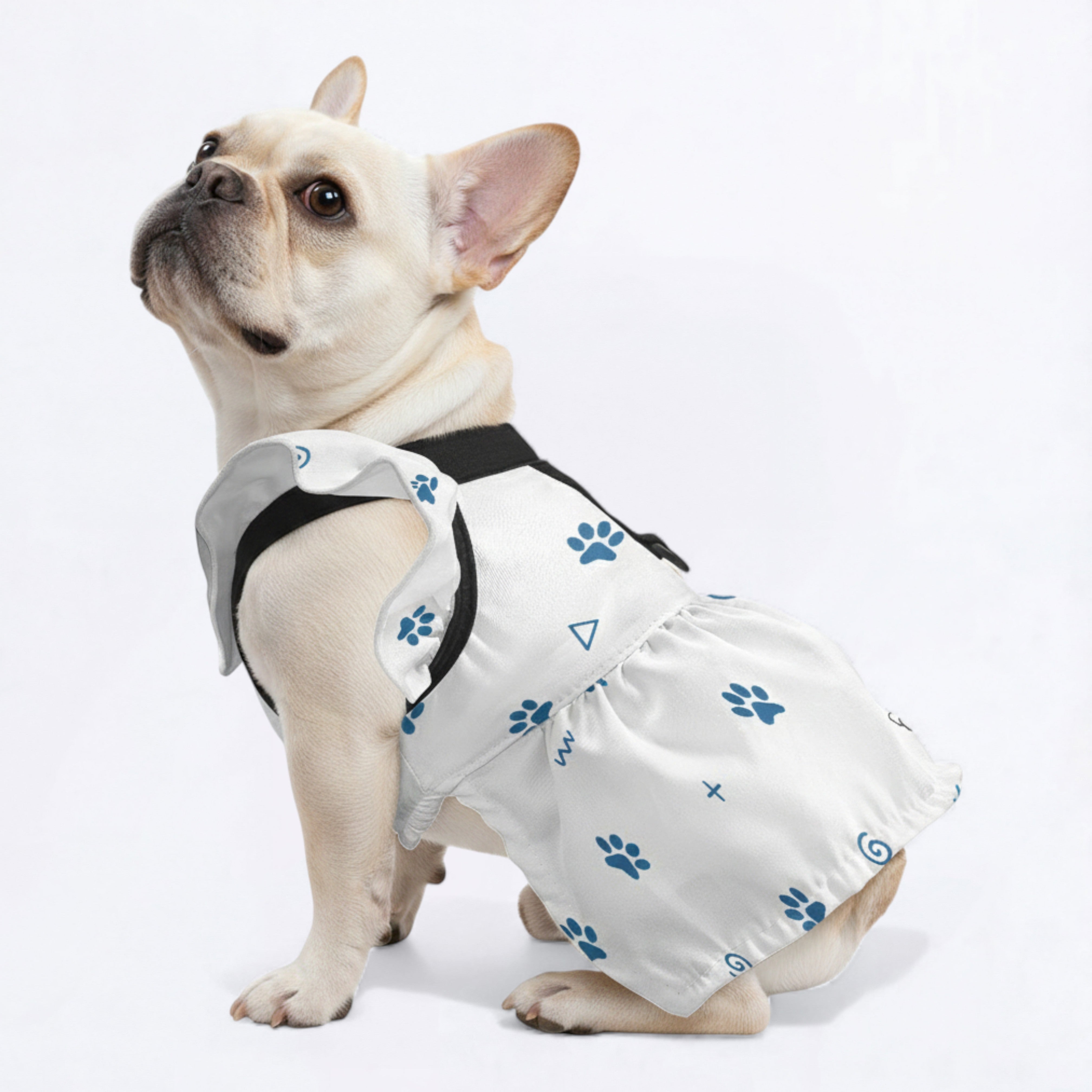 Lifestyle-Driven Kaya - French Bulldog Dresses For Females for Pet