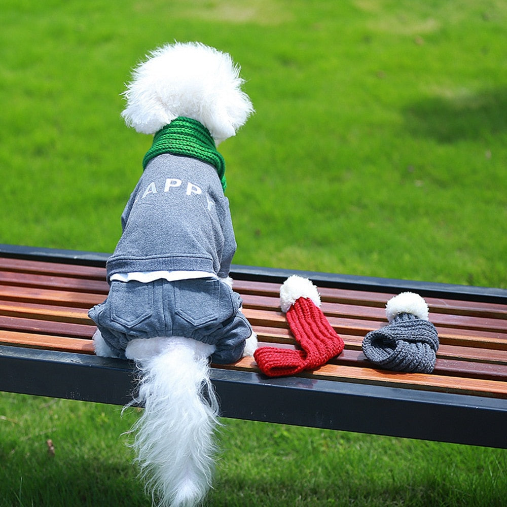 Street-Ready Christmas Knit Scarf For French Bulldog for Everyday Wear