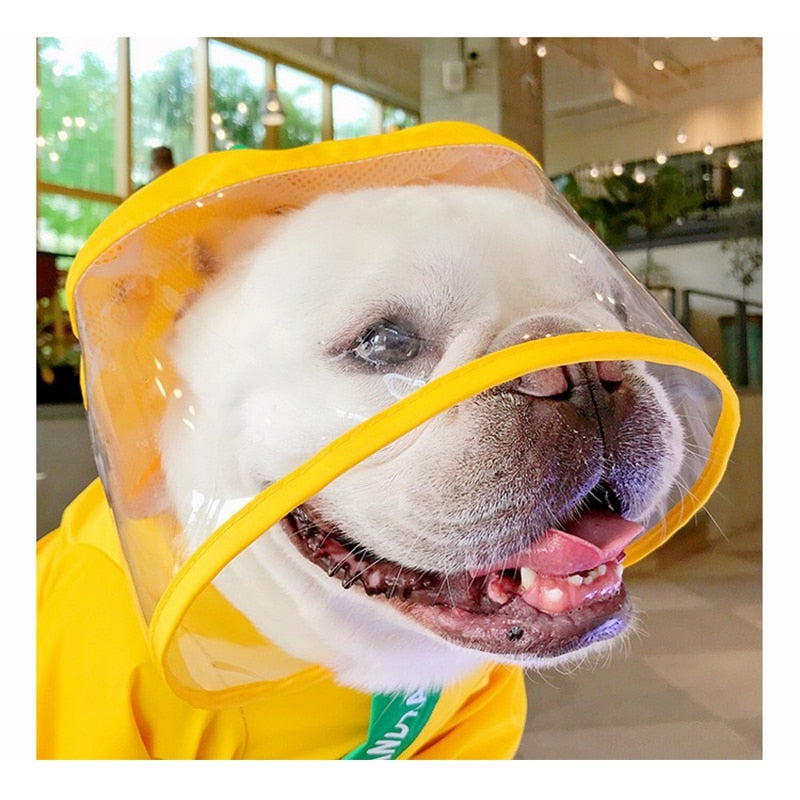 Culture-Inspired Jaketly™ Frenchie Fashion Dinosaur Raincoat for Dog