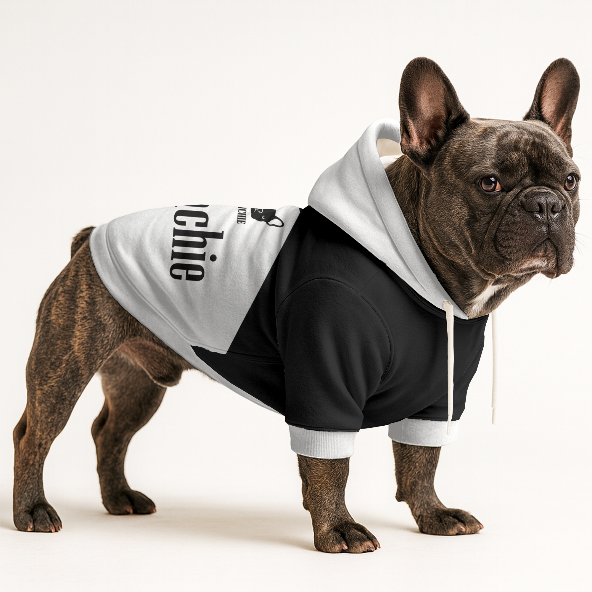Joey - Stylish Frenchie Hoodie Outdoor Style | Premium Quality