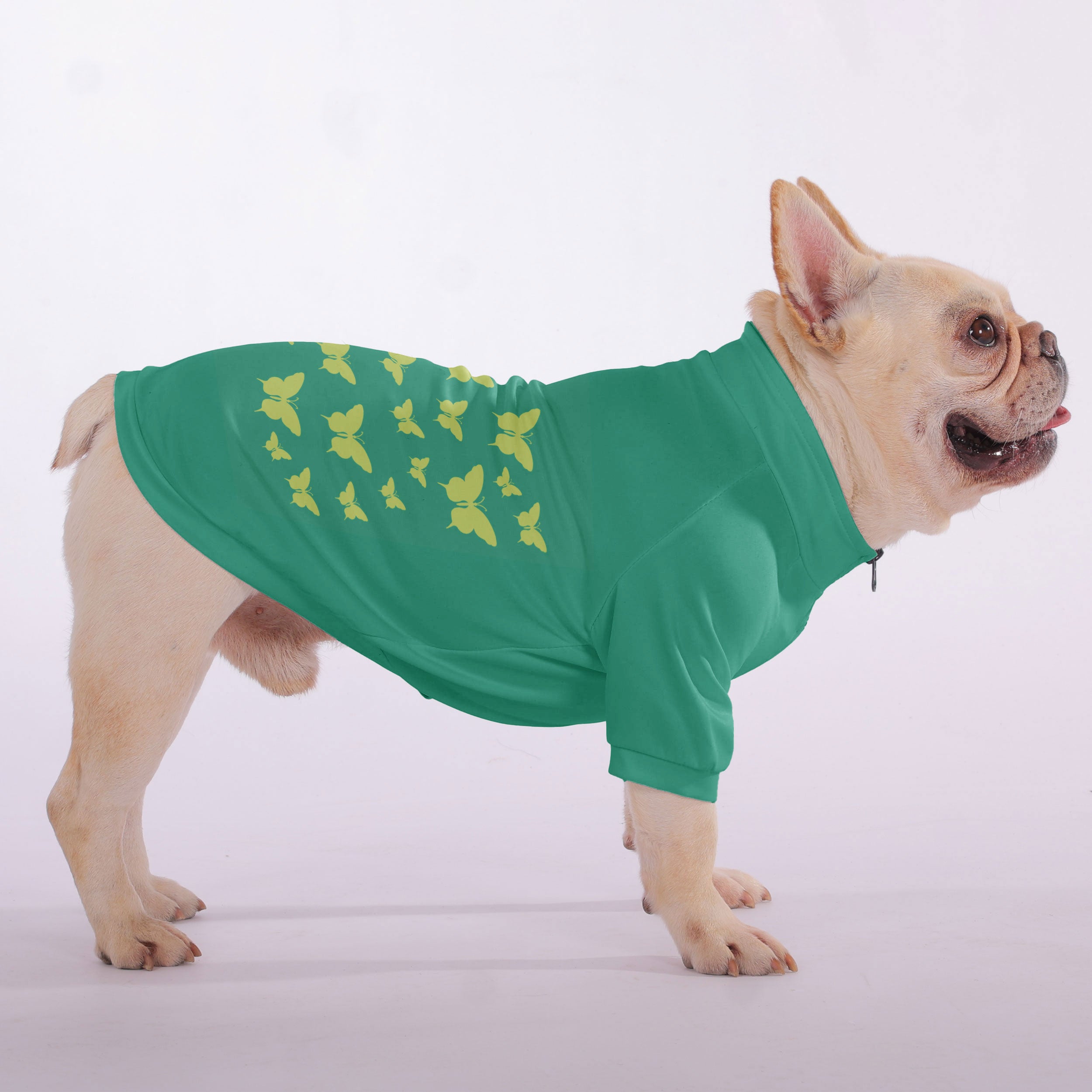 Premium Groucho - Snuggly Zip-up Sweatshirt For French Bulldogs for Dog