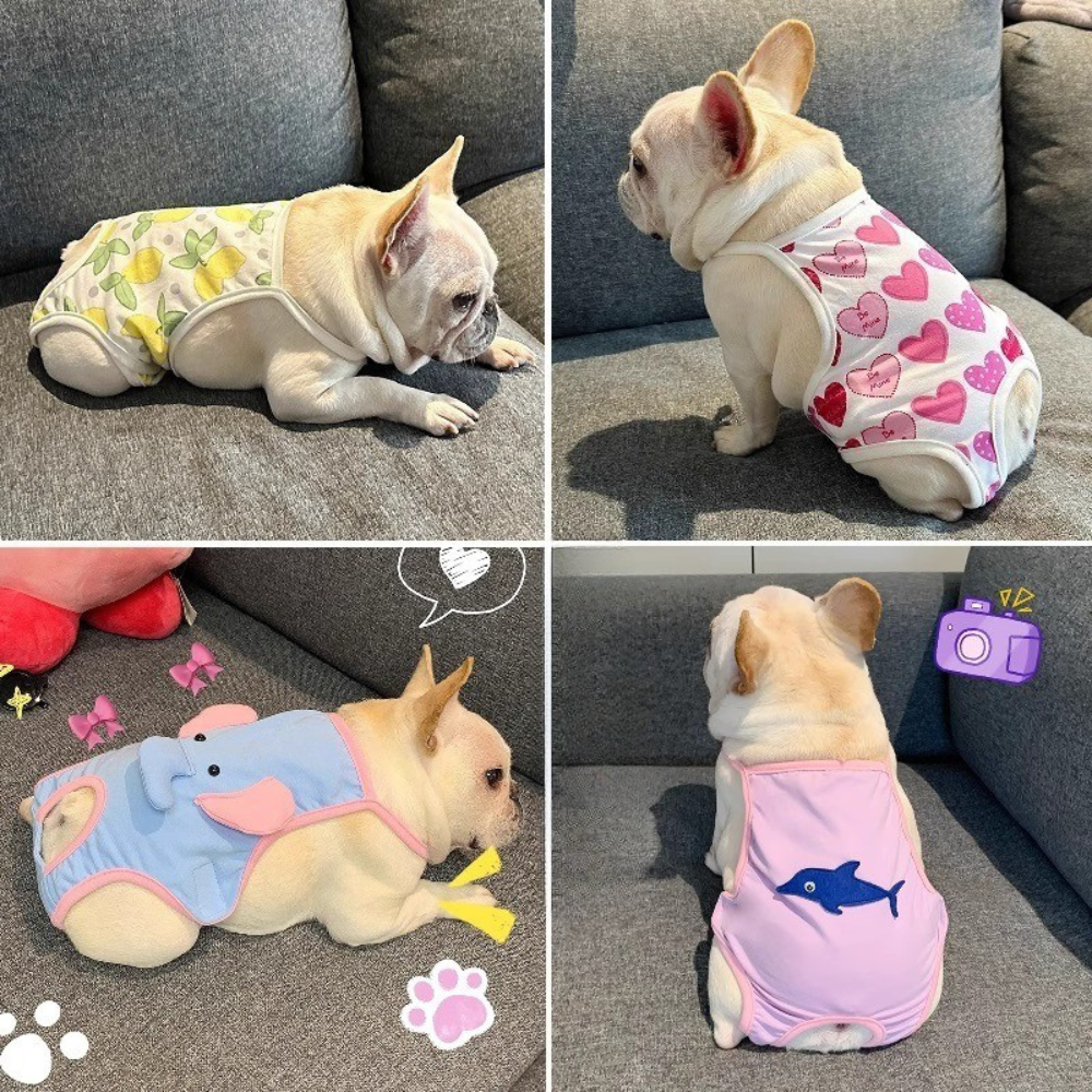 EasyPaw Frenchie Menstrual Pants – Leak-Proof Heat Cycle Dog Diapers