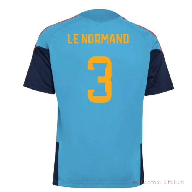 2025-2025 Spain Training Jersey (Bold Aqua) - Kids (Le Normand 3)