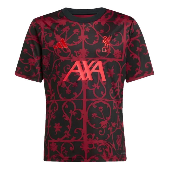 Professional Style Liverpool Top Level Home Professional Jersey (Kids)