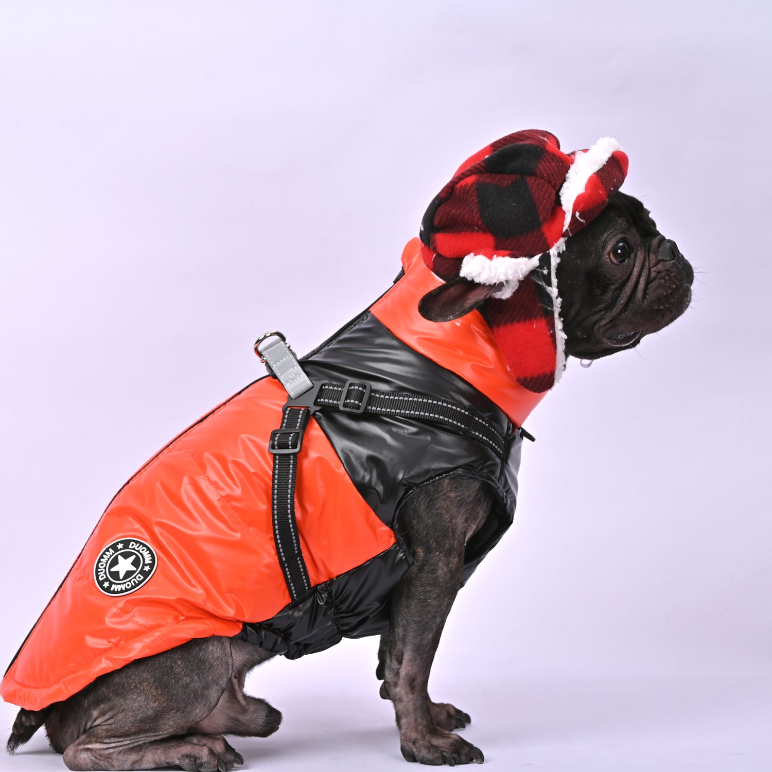French Bulldog Snowy Snuggles Frenchie Warm Reflective Winter Jacket V1 Warm Dog Outfit