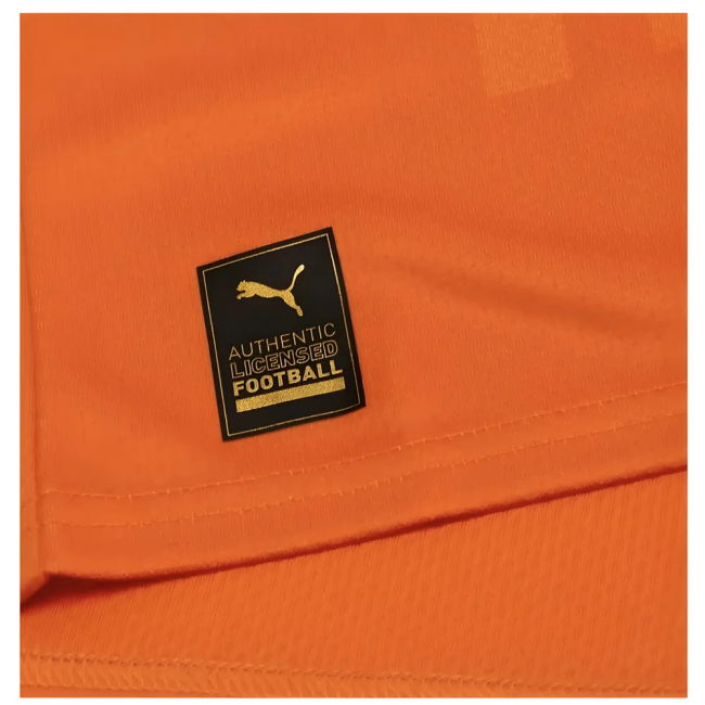 Premium-Quality 2023 Ivory Coast Home Afcon Winner Shirt