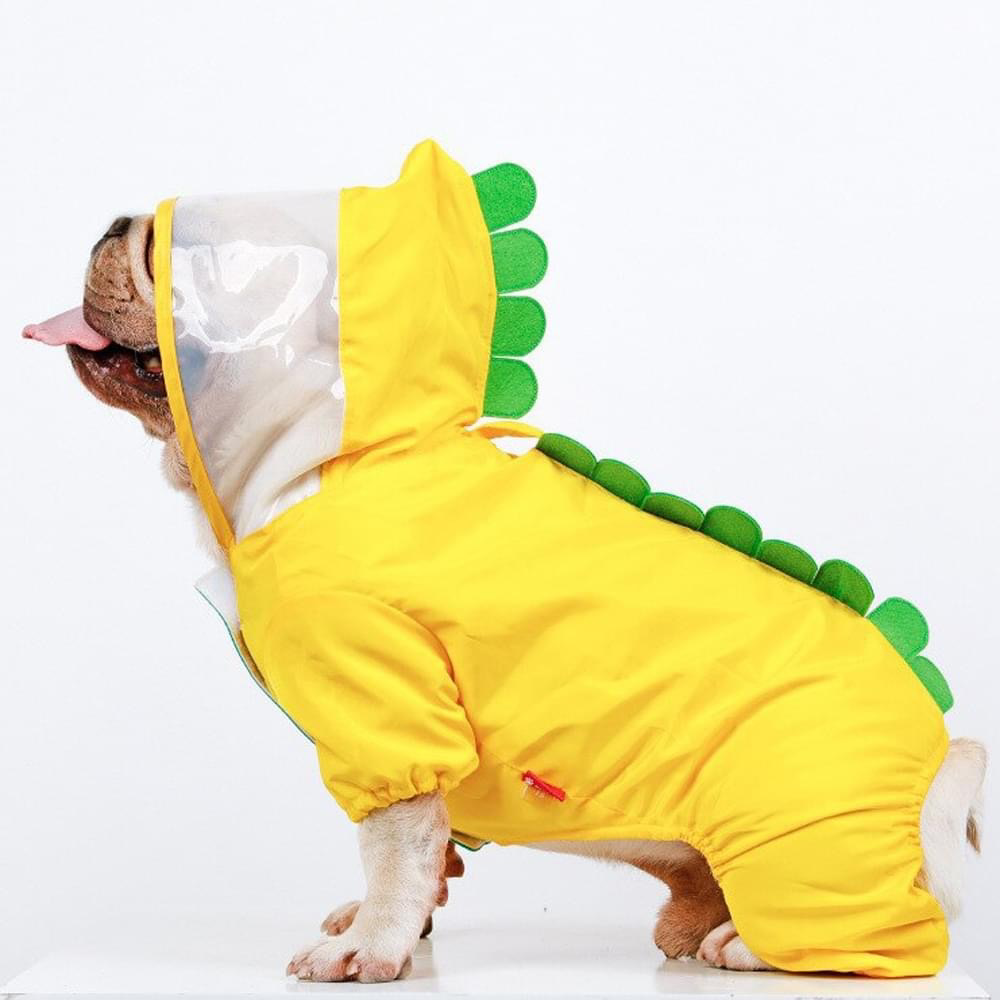 Jaketly™ - Frenchie Frenchie Fashion Dinosaur Raincoat Winter Wear