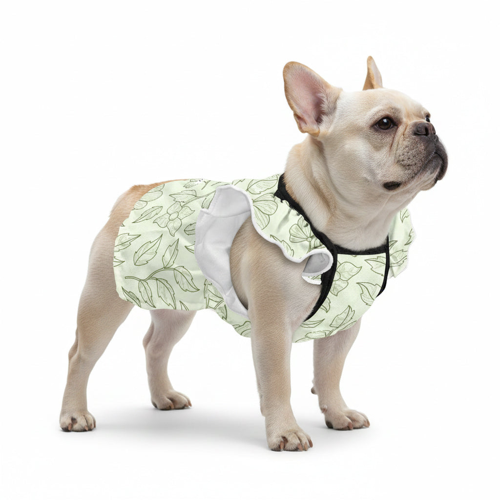 French Bulldog Dresses For Females Outdoor Use | Breed-optimized