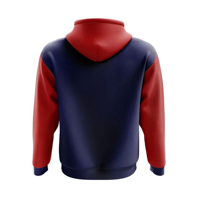 Quality Taiwan Concept Country Football Hoody (Navy) Authentic