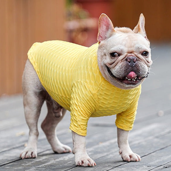 Frenchie Winter Cloth Stylish Turtleneck Bottoming Shirt Indoor Comfort