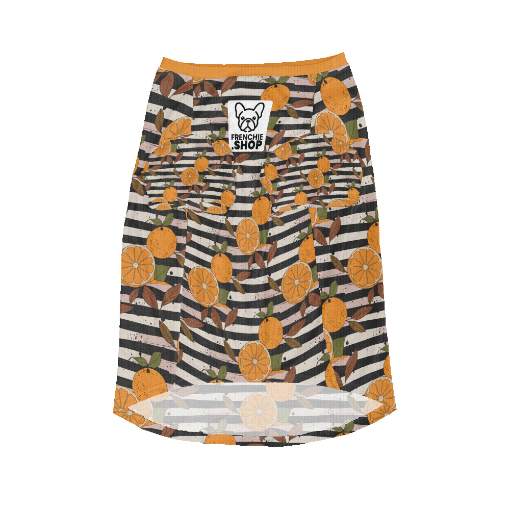 Marco - Premium Wool Sweater For Frenchies Everyday Use | Trendy Style