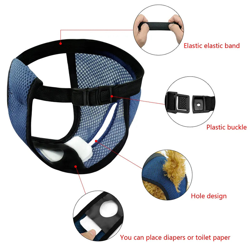 Culture-Inspired Leak-proof Frenchie Diaper Hygienic Panties For Ulti...