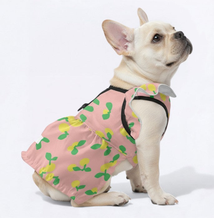 Stylish Kaia - French Bulldog Dresses For Females as a Gift Premium