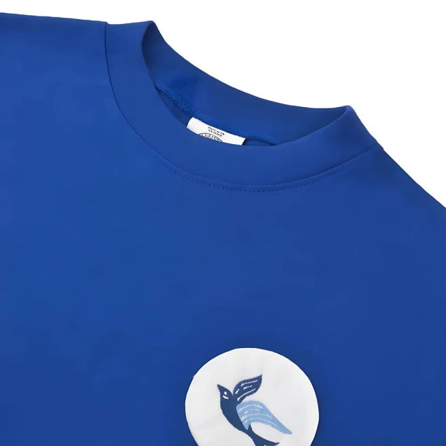 Professional Grade Passionate Football Cardiff City #1960 Updated D...