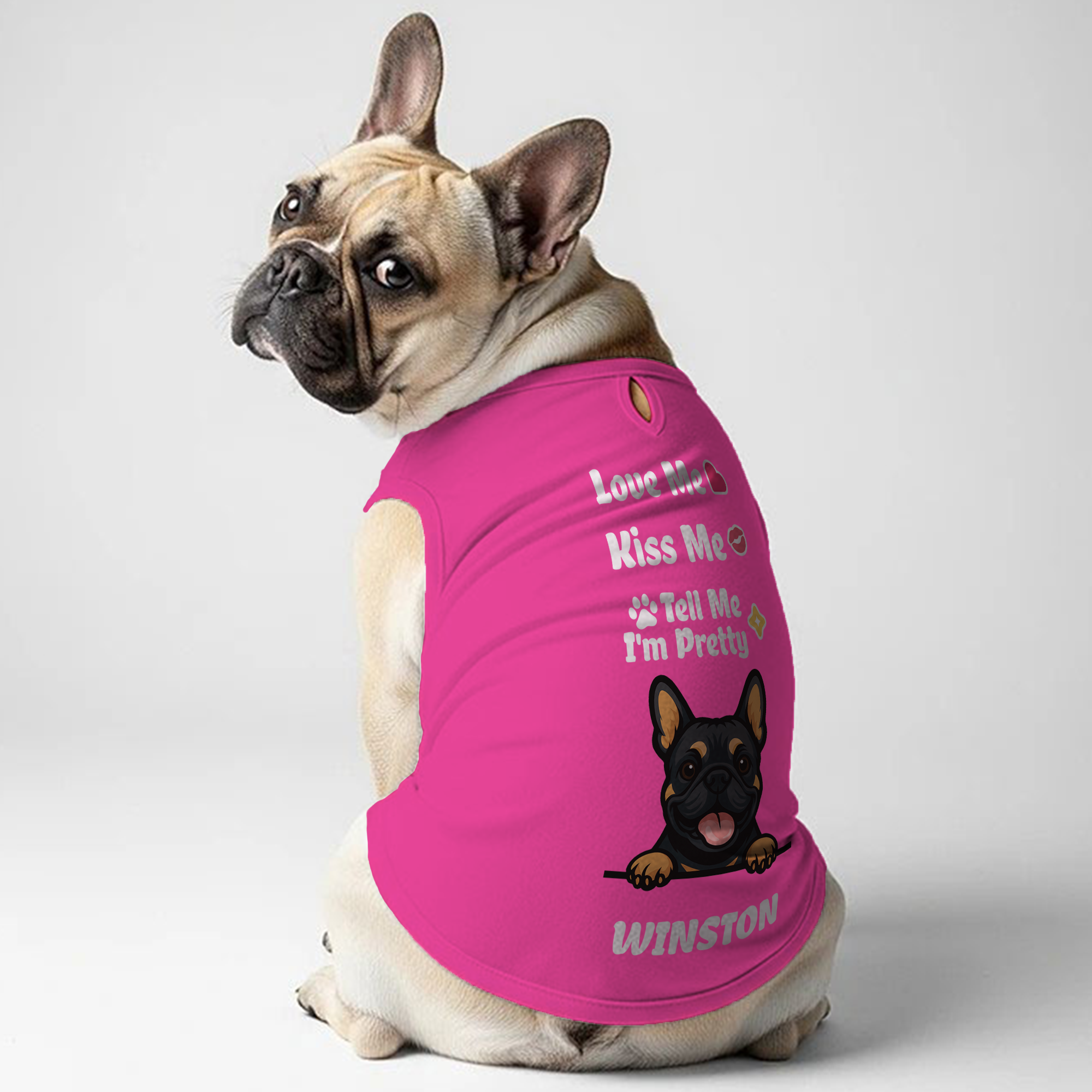 Frenchie Shirt | Custom Dog T-shirt For French Bulldogs Outdoor Style