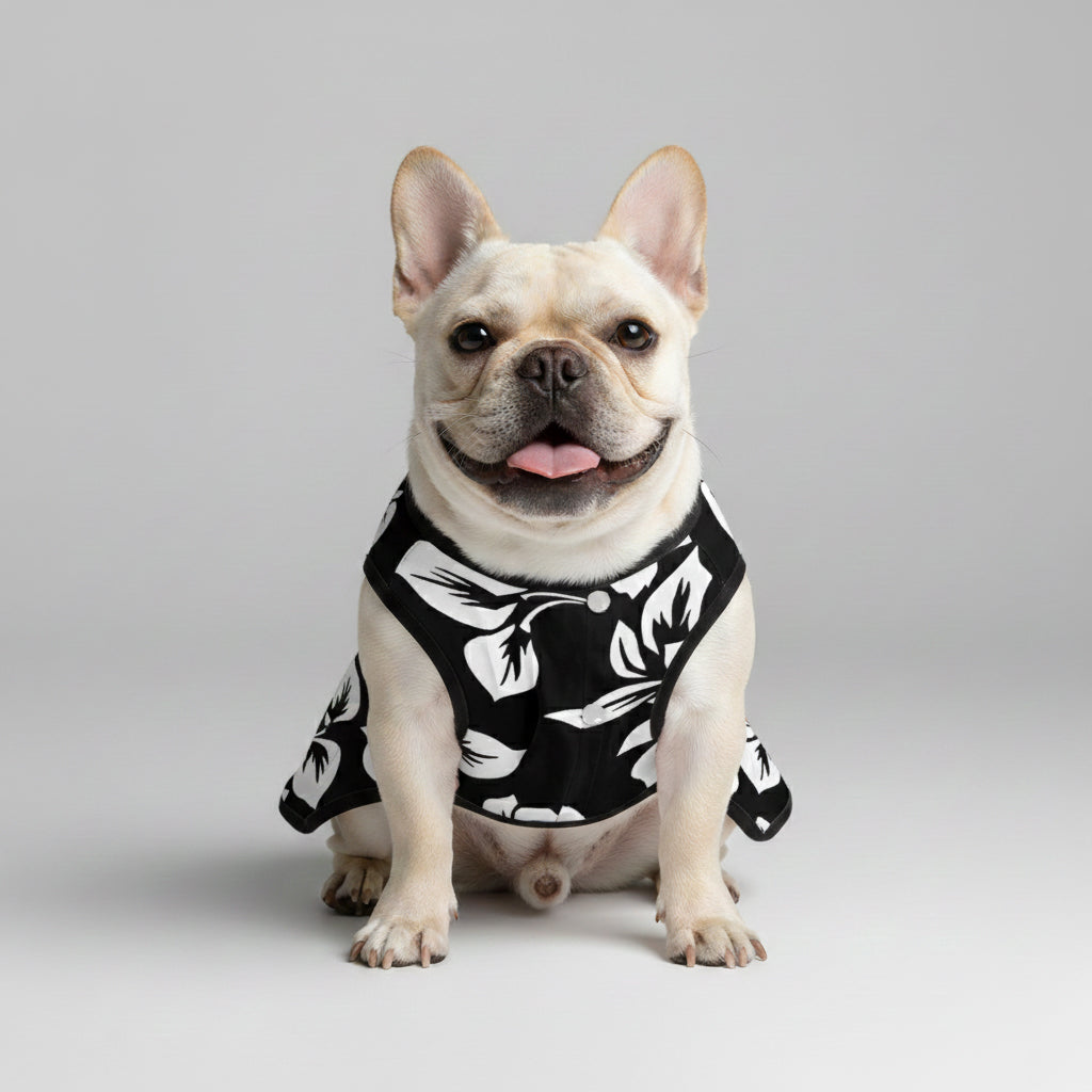 Eliana - French Bulldog Dresses for Females